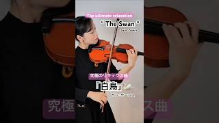 Download lagu 【白鳥】サン=サーンス Saint-Saëns / The Swan #violin #shorts mp3