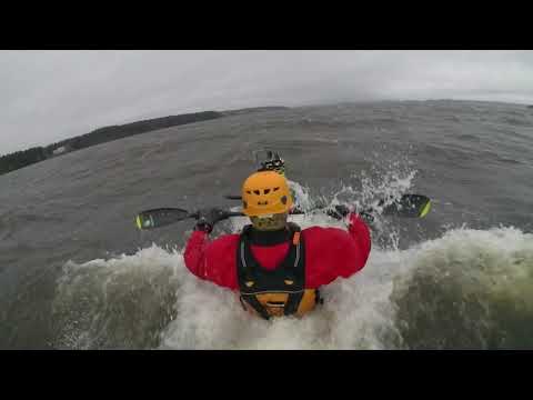 Early Bird med Peter