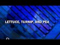 The Big Comfy Couch Closing And Funding Lettuce Turnip And Pea 1996 2001 PBS Kids Rebroadcast