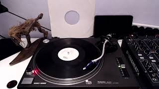 Paul van Dyk / Peter Heppner - Wir Sind Wir (dub mix)