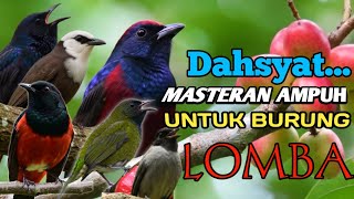 Download lagu KOMBINASI MASTERAN PALING DI CARI JURI || murai batu kacer cucak ijo mp3