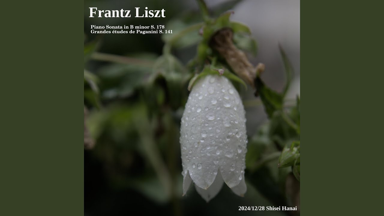 Liszt Grandes Etudes De Paganini: No. 5 in E Major 'La Chasse'