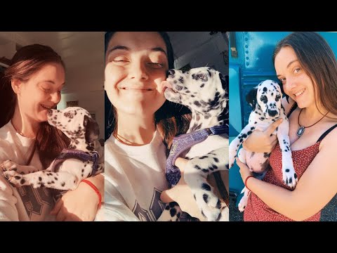 Things I wish I knew before getting a Dalmatian Puppy...