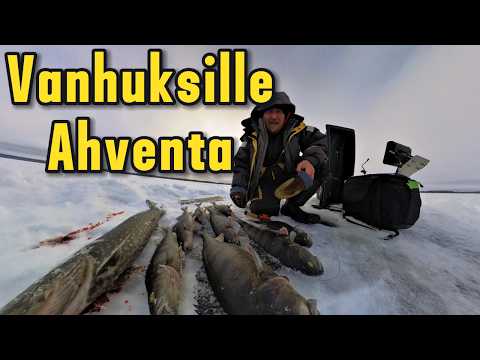 Pilkitään isoa Ahventa vanhuksille.