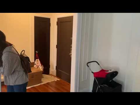 1447 Chapel Street - Video 4 of 4