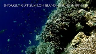 preview picture of video 'セブのスミロン島でシュノーケリング　Snorkeling at Sumilon island, Cebu, Philippines by DxO ONE'