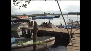 preview picture of video 'Bocas del Toro Panama.'