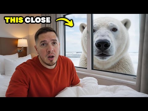 I slept with a POLAR BEAR (crazy experience)