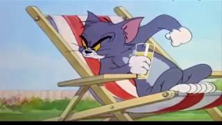 tom and jerry funny whatsapp status video