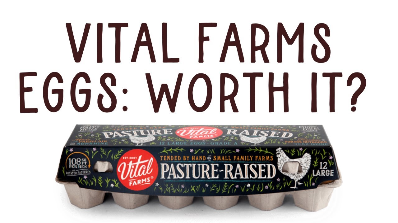 Vital Farms Eggs: Bougie Marketing or Actually Better?