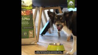 Bellfor Pur – Premium Glutenfreies Hundefutter
