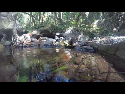 AO VER A CRUZ - HINÁRIO ADVENTISTA