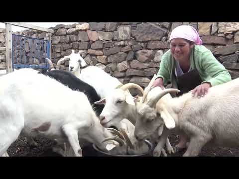 Municipios de Vitichi, Tupiza, Villazón y Cotagaita