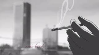 Perdenin Ardındakiler-Ankara’yla Bozuşuruz | Gizem Laçinkaya (cover)