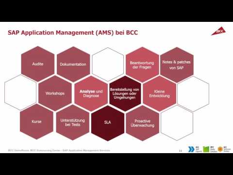 Wie kann das SAP-System effektiv mit dem SAP Anwendungssupport der BCC genutzt werden