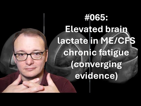 065 - Elevated brain lactate in ME/CFS chronic fatigue (converging evidence)