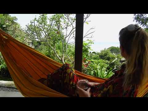 Video Naturaleza Playa Escondida