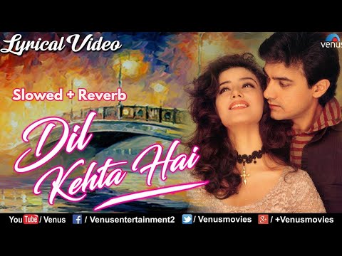 Dil Kehta Hai - (Slowed + Reverb) Akele Hum Akele Tum | Aamir Khan Ft. Manisha Koirala