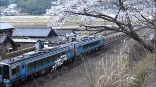 preview picture of video 'JR四国　土讃線　桜と気動車走行映像　佐川　日高　いの　高知市　2012.4'