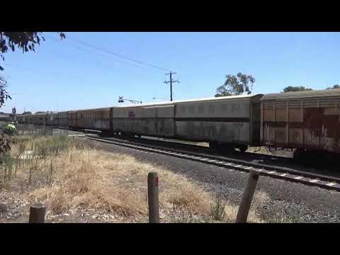 Feight Train In Bell Post Hill