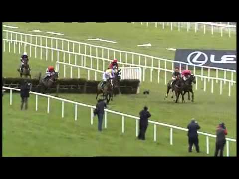 Ladbrokes World Hurdle 2013 preview