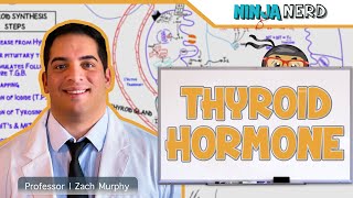 Endocrinology | Synthesis of Thyroid Hormone