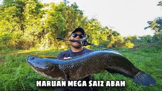 Download lagu Casting HARUAN PURBA Di Spot Hutan | Monster Snakehead @ Gabus Besar mp3