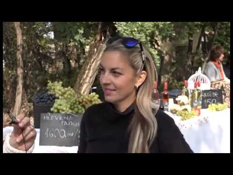 Zlatna Škatulja 05 10 2018 croinfo