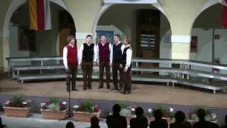 preview picture of video 'Quintett der Br.Smrtnik aus Eisenkappl beim  Konzert im Spittl/Spittal'