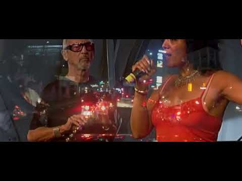 Chris Hinze - Live at The Royal Concertgebouw Amsterdam - Farewell concert, part 2