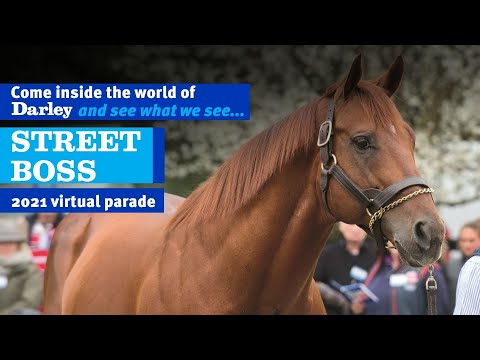 2021 Darley Australia Stallion Parade - Street Boss