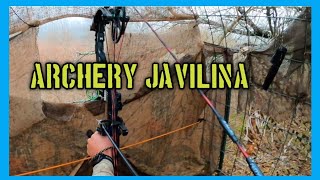 Archery Javilina In South Texas // Self Filmed