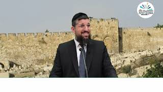 מפתיע, שבועת צדקיהו והארנבת של נבוכדנצר | ט באב תשפ"ה | הרב אליהו עמר (הרב אליהו עמר) - התמונה מוצגת ישירות מתוך אתר האינטרנט יוטיוב. זכויות היוצרים בתמונה שייכות ליוצרה. קישור קרדיט למקור התוכן נמצא בתוך דף הסרטון