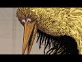 Biggest Bird Forgotten