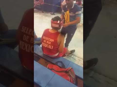 La primera pelea del wero chicali