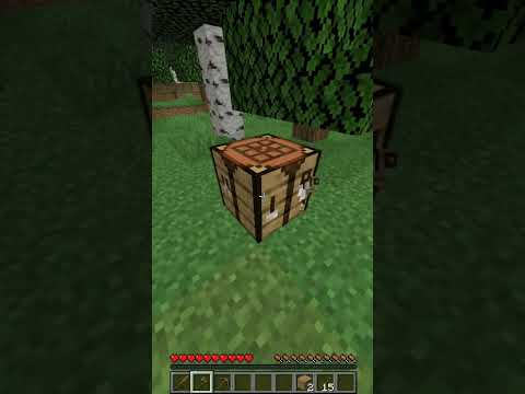 CounterCraft - 💔Minecraft, but if I take damage, the video is over💔 #minecraft #trending #minecraftshorts