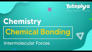 Intermolecular Forces
