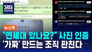 연세대 있나요? 사진 인증..'가짜' 만드는 조직 판친다 / SBS / 뉴스딱