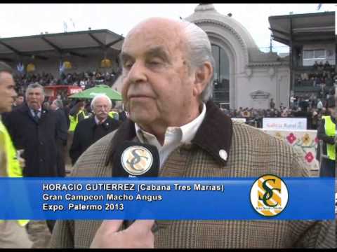 HORACIO GUTIERREZ - Cabaña Tres Marias - Gran Campeon Macho Angus - Expo. Palermo 2013