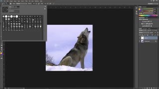 How to Freehand draw over an image in Photoshop