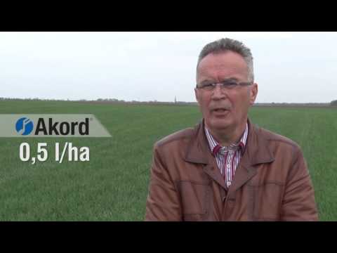 Zastita psenice i kukuruza, Galenika Fitofarmacija - U nasem ataru 683