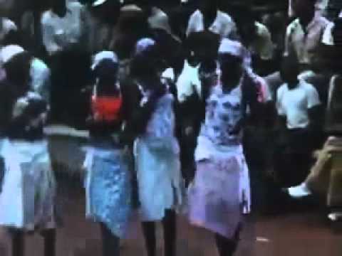 Dub Narcotic Sound System - "Robotica"