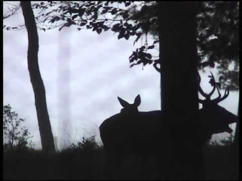 download lagu mp3 mp4 Vddragt, download lagu Vddragt gratis, unduh video klip Vddragt