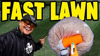 GROW GRASS FAST! SEED PRIMING VS PRE GERMINATION ~ HOW TO GUIDE