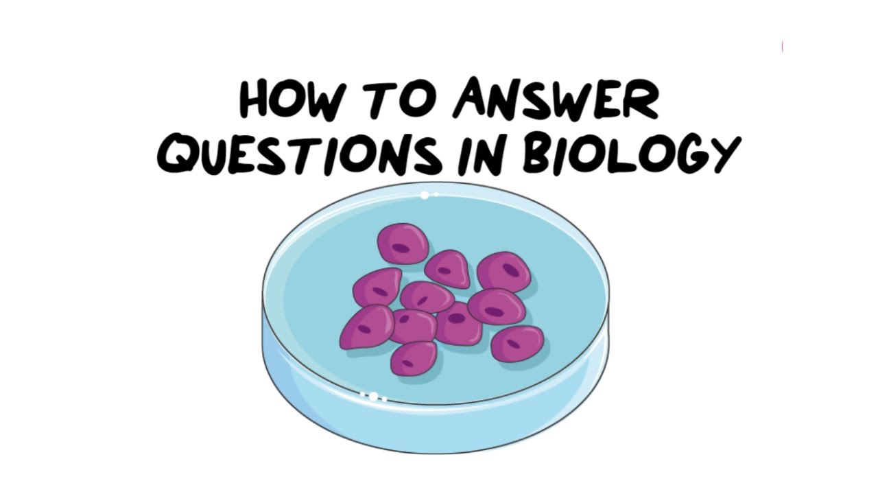 How to answer Questions in Biology