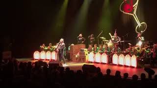 THE BRIAN SZER ORCHESTRA-Hoodoo Voodoo Doll-solo-This Cat’s On A Hot Tin Roof 1/31/2018@tokyo