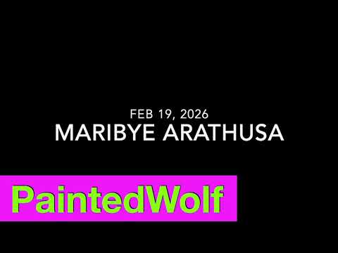 UPDATE Manyeleti Game Reserve snare - Maribye at Arathusa, posted Feb 19 2026