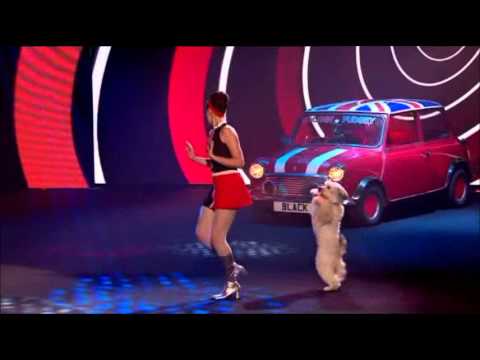 Ashleigh & Pudsey - Austin Powers Routine (Red or Black)