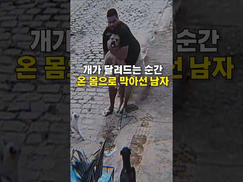 개가 달려드는 순간, 온 몸으로 막아선 남자 😭😭