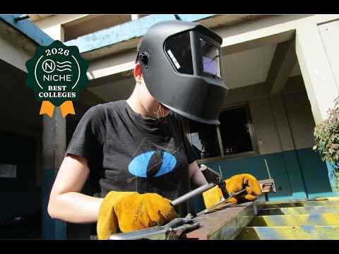 What Makes Olin College of Engineering Special? Students Share Their Perspectives